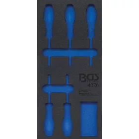   BGS technic 1/3 Szerszámtálca szerszámkocsihoz, üresen: 5 részes Torx csavarhúzó készlethez, T6-T10 (nem tartozék) (BGS 4076-1)
