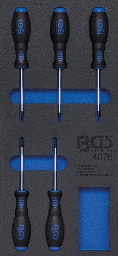 BGS technic 1/3 Szerszámtálca szerszámkocsihoz: 5 részes Torx csavarhúzó készlettel, T6-T10 (BGS 4076)