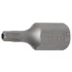 BGS technic Biztonsági Torx bit, fúrt T25 3/8" hossza: 30mm (BGS 4625)