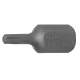 BGS technic Bitfej, nem fúrt T20 3/8" hossza: 30mm (BGS 4869)