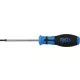 BGS technic Csavarhúzó T25x80mm (BGS 4920)