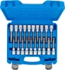 BGS technic Bitfej készlet, 1/2", Imbusz, T-profil (Torx), XZN gömbvéggel, 20 darabos (5170)
