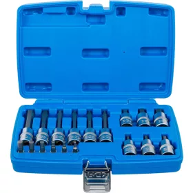   BGS technic Bitfej készlet, 1/4" / 1/2", Imbusz, 18 darabos (5171)