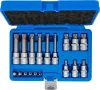 BGS technic Bitfej készlet, 1/4" / 1/2", XZN, 18 darabos (5172)