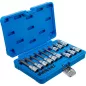   BGS technic Bitfej készlet, 1/4" / 1/2", T-profil (Torx) furattal, 18 darabos (5174)