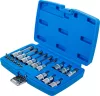 BGS technic Bitfej készlet, 1/4" / 1/2", T-profil (Torx) furattal, 18 darabos (5174)
