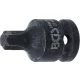 BGS technic Torx bitfej légkulcshoz, T55, 1/2" (BGS 5486-T55)