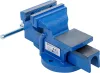 BGS technic Asztali satu, 5,5 kg, 100 mm-es befogó pofákkal (BGS 59260)