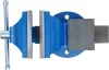 BGS technic Asztali satu, 5,5 kg, 100 mm-es befogó pofákkal (BGS 59260)