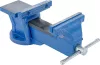 BGS technic Asztali satu, 8 kg, 125 mm-es befogó pofákkal (BGS 59265)