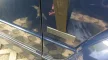 BGS technic 5 részes ék készlet (BGS 63250)