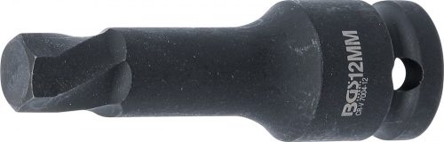 BGS technic Csavarkiszedő | Belső négyszögletű behajtófej 12,5 mm (1/2") | meghibásodott 12 mm-es imbuszcsavarokhoz (BGS 7004-12)