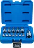 BGS technic Behajtófej-készlet | 6,3 mm (1/4") / 10 mm (3/8") / 12,5 mm (1/2") | Belső hatszögletű 2 - 14 mm | 13 darabos (74257)