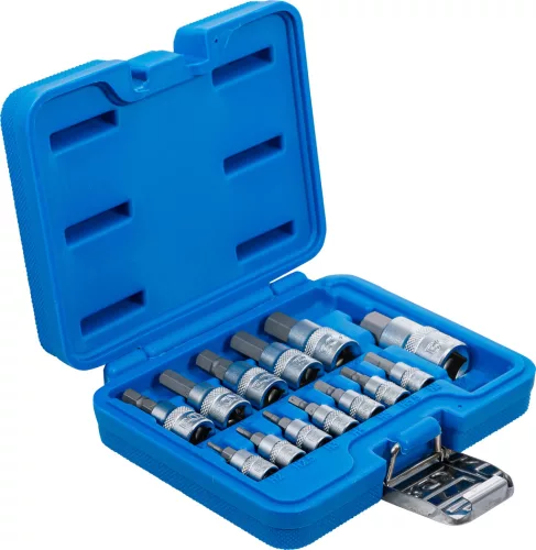 BGS technic Behajtófej-készlet | 6,3 mm (1/4") / 10 mm (3/8") / 12,5 mm (1/2") | Belső hatszögletű 2 - 14 mm | 13 darabos (74257)