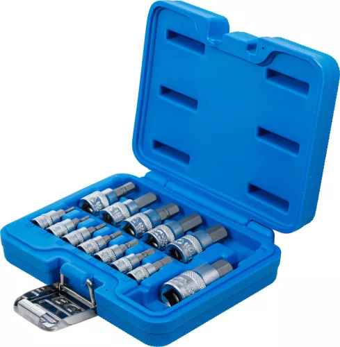 BGS technic Behajtófej-készlet | 6,3 mm (1/4") / 10 mm (3/8") / 12,5 mm (1/2") | Belső hatszögletű 2 - 14 mm | 13 darabos (74257)