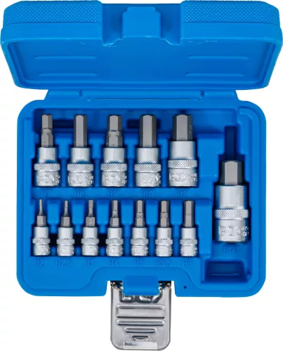 BGS technic Behajtófej-készlet | 6,3 mm (1/4") / 10 mm (3/8") / 12,5 mm (1/2") | Belső hatszögletű 2 - 14 mm | 13 darabos (74257)