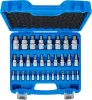 BGS technic Behajtófej-készlet | 6,3 mm (1/4") / 10 mm (3/8") / 12,5 mm (1/2") | Belső hatszögletű 2 - 19 mm / 1/4 - 9/16" | Metrikus és coll méretek | 32 darabos (74258)