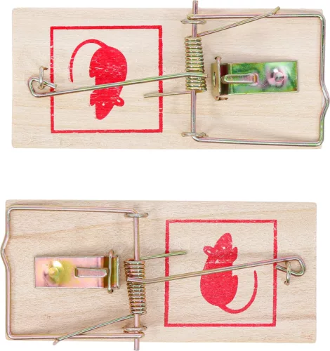 BGS DIY 2 részes egércsapda, 100 x 48 mm (BGS 80782)