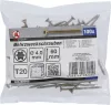 BGS DIY 100 db facsavar, 4.0 x 60 mm, Torx T20 fejjel (BGS 80996)