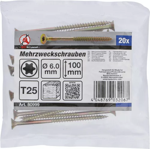 BGS DIY 20 db facsavar, 6.0 x 100 mm, Torx T25 fejjel (BGS 80999)