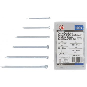 BGS DIY Szegőléc szeg készlet | 100 darabos (BGS 88178)