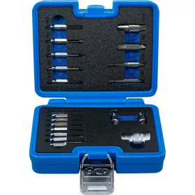   BGS technic Csavarkiszedő készlet | 1,5 - 10 mm belső hatszöghöz / T-profil (Torx) | T10 - T55 | 19 darabos (9173-1)