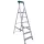 BORMANN Pro Fellépőlétra szerszámtartóval, 5+1 fokos, 172 cm, 150 kg (BHL9010)