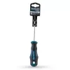 BORMANN Pro CSAVARHÚZÓ TORX T20x100mm S2 (BHT7032)