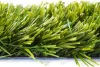 BORMANN MŰFŰ 2M x10MÉTER 30mm SZÁLMAGASSÁG, 1700 g/m² (BPN2130)