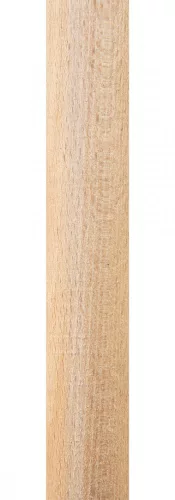 VERTO Gereblye 16 fogú, fanyéllel (15G050)