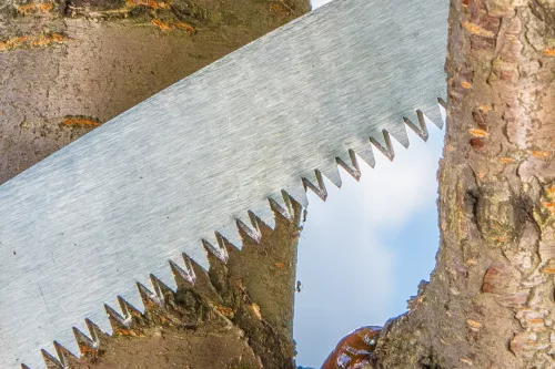 VERTO Ágvágó fűrész, fűrészlap: 350mm, 7 TPI, övre csatolható védőtokkal (15G101)