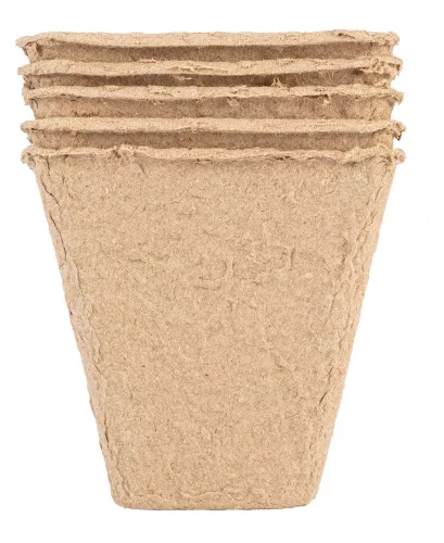 VERTO Palántázó doboz, papír, 8x8x7,8cm, 18 db/cs (15G464)