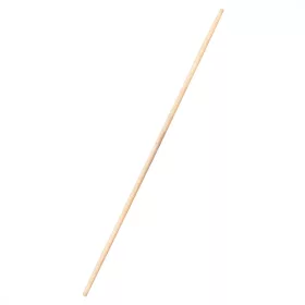   NEO Partvis-, seprűnyél 120 cm, dia. 24 fi, lakkozott (39-250)