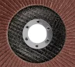 GRAPHITE Csiszolókorong lamellás 125x22,2mm, P100 fém, fa (58T123)