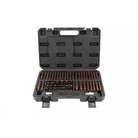   KROFtools 60 db-os bitkészlet, Torx, XZN, Imbusz, Ribe, Négyszög (6160)