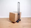 Mannesmann Összecsukható mini molnárkocsi 50 kg teherbírással (M00925)
