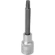 DRAKKAR Torx bitdugókulcs, 1/2 col (11101)