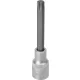 DRAKKAR Torx bitdugókulcs, 1/2 col (11103)