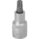 DRAKKAR Torx bitdugókulcs, 1/2 col (11154)