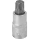 DRAKKAR Torx bitdugókulcs, 1/2 col (11157)