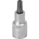 DRAKKAR furatos Torx bitdugókulcs, 1/2 col (11165)