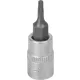 DRAKKAR Torx bitdugókulcs, 1/4 col (12059)