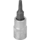 DRAKKAR Torx bitdugókulcs, 1/4 col (12061)
