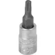 DRAKKAR Torx bitdugókulcs, 1/4 col (12062)
