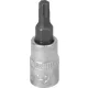 DRAKKAR Torx bitdugókulcs, 1/4 col (12063)