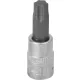 DRAKKAR Torx bitdugókulcs, 1/4 col (12066)