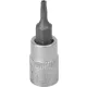 DRAKKAR furatos Torx bitdugókulcs, 1/4 col (12068)