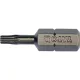 YATO BITHEGY torx T10 1/4" 25 MM, 10 DB (YT-78141)
